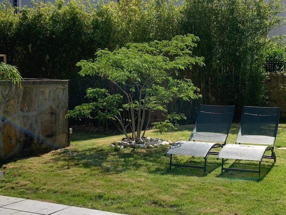 Joli T2 Jardin Parking Proche Gare Centre Ville Ντιζόν Εξωτερικό φωτογραφία
